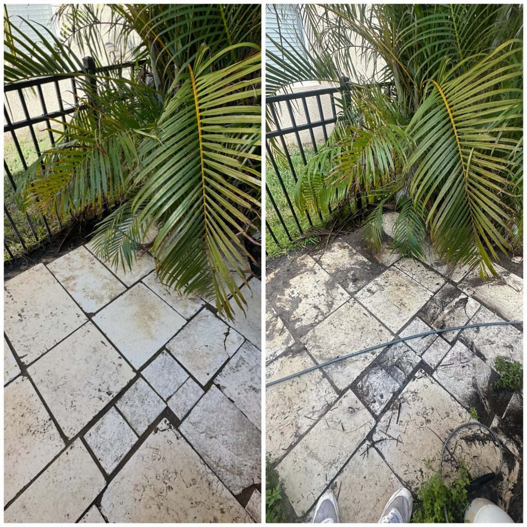 collage_export_13F772E2-1B84-4177-BF10-EF73D8C4D5DD-1770910087234-sedwvn